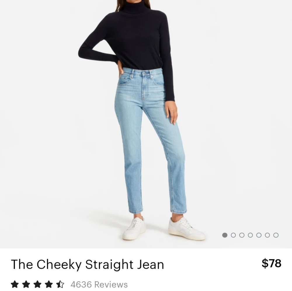NWT Everlane The Cheeky Straight Jean